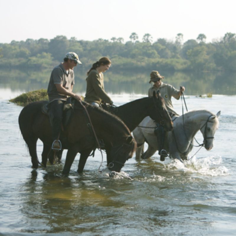 Horse Back Safaris